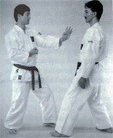 Shihan Keiji Tomiyama (left)