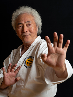 Meitatsu Yagi image